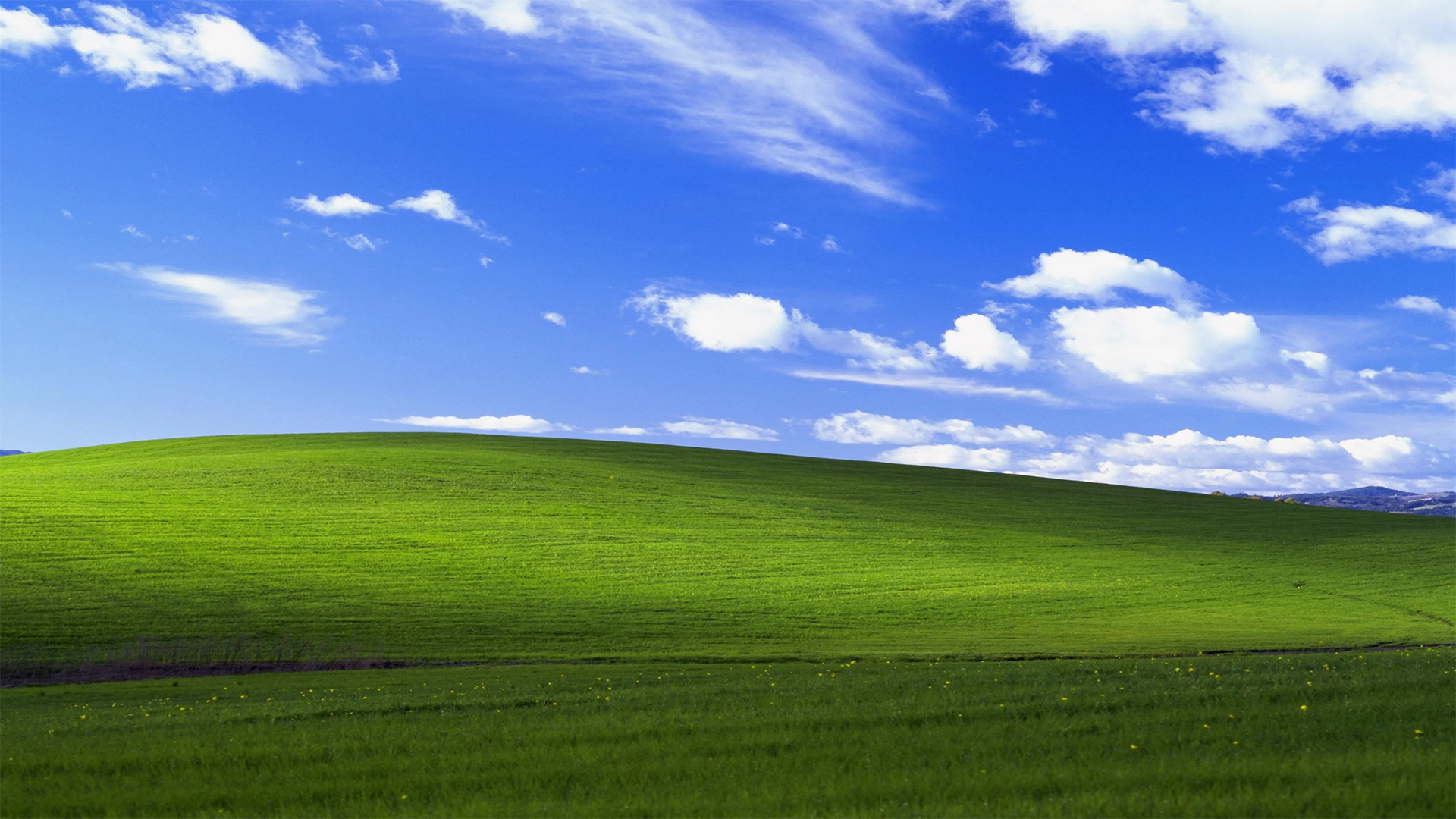 XP Background